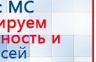 Пояс электрод для аппаратов Скэнар купить в Хабаровске, Выносные электроды купить в Хабаровске, Медицинская техника - denasosteo.ru